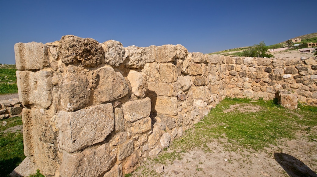 Pella Museum showing a ruin