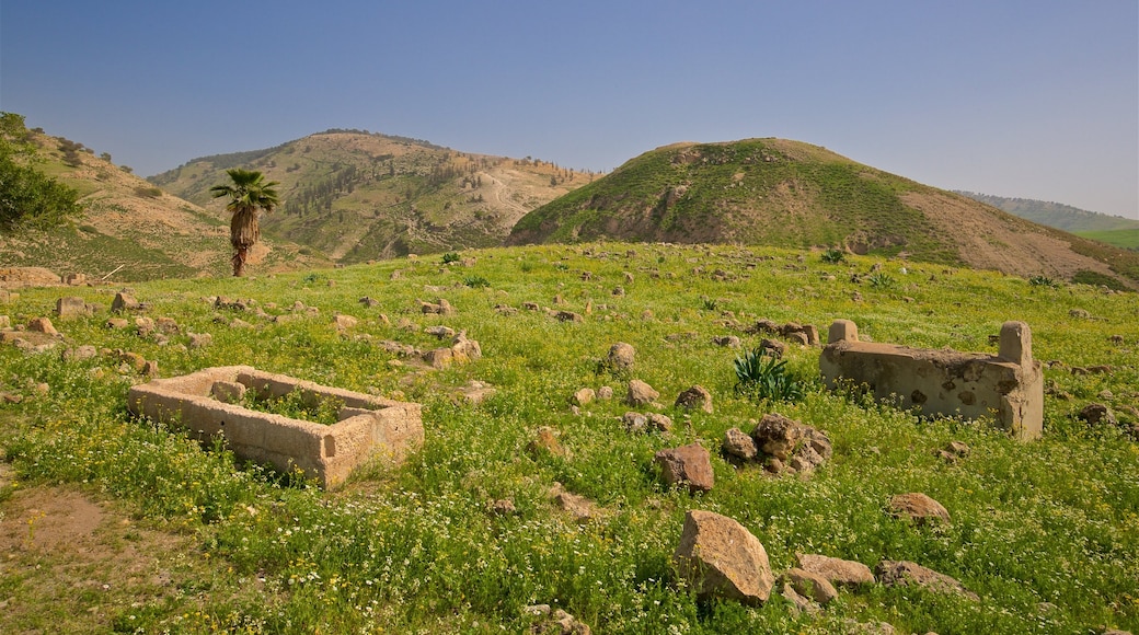 Pella Museum featuring landscape views, tranquil scenes and a ruin