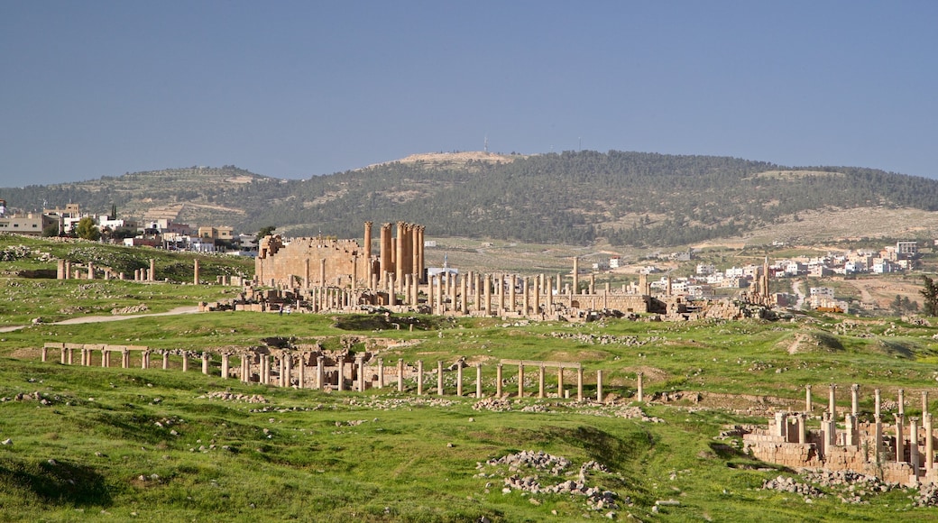 Templo de Artemis de Jerash que incluye vistas de paisajes, ruinas de edificios y elementos del patrimonio