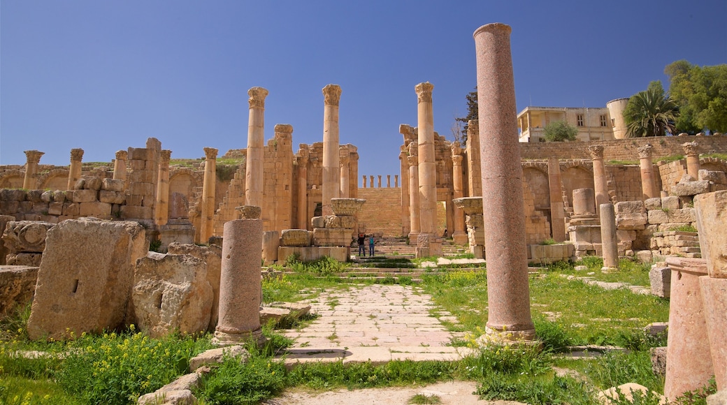 Archeologisch museum van Jerash bevat vervallen gebouwen en historisch erfgoed