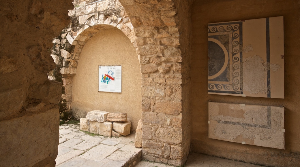 Site archéologique de Madaba mettant en vedette patrimoine historique