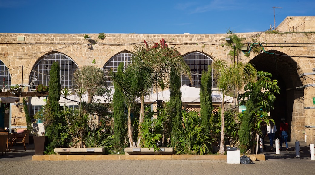 Acre Old City