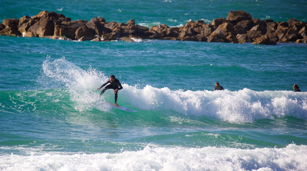 Plage de Dado Zamir