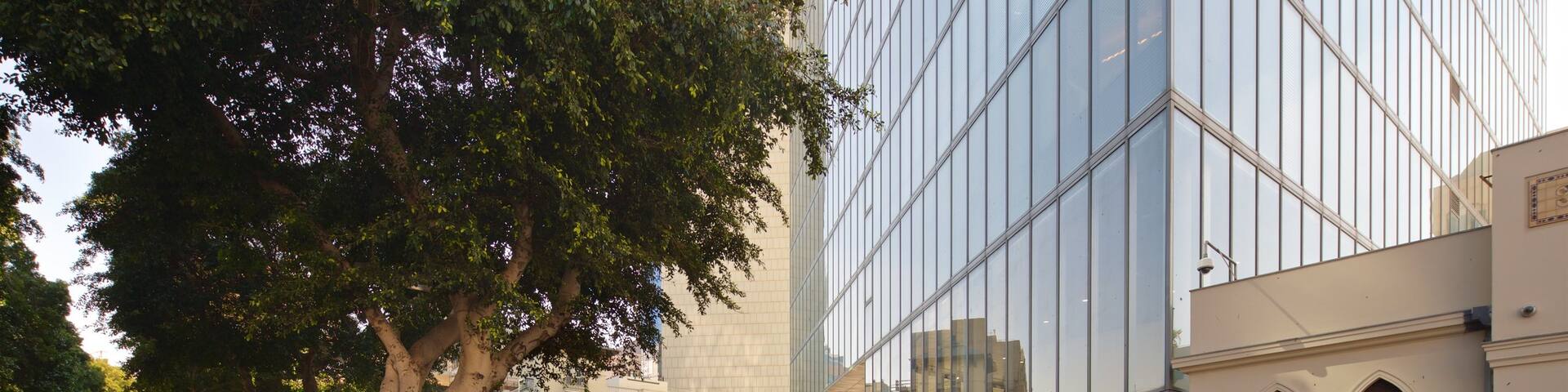 Rothschild Boulevard