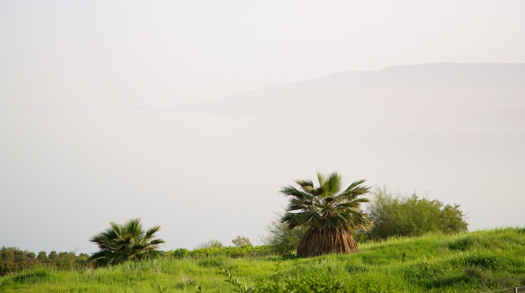 Monte de las Beatitudes