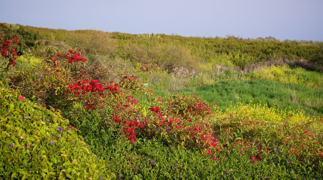 Mount of Beatitudes