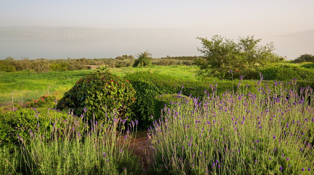 Mount of Beatitudes