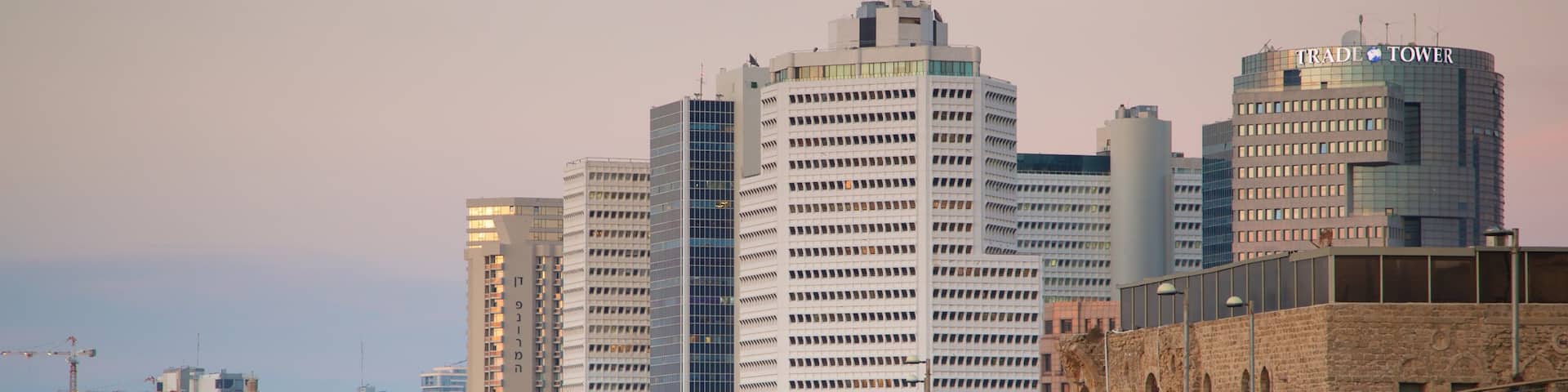 Charles Clore Garden