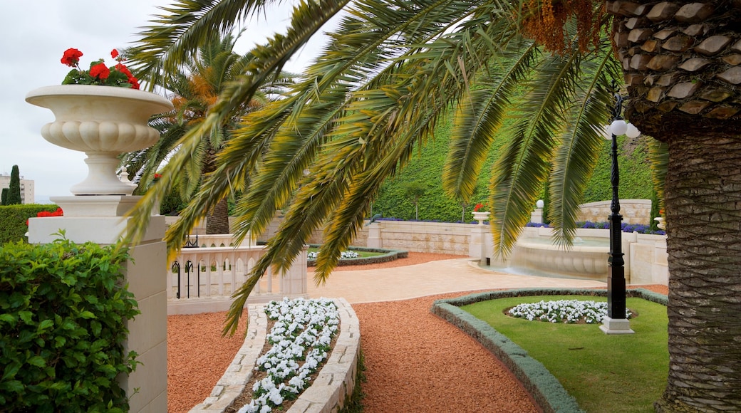 Baha\'i Gardens