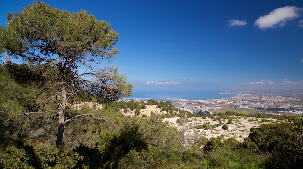 Sites of Human Evolution at Mount Carmel: The Nahal Me’arot/Wadi el-Mughara Caves