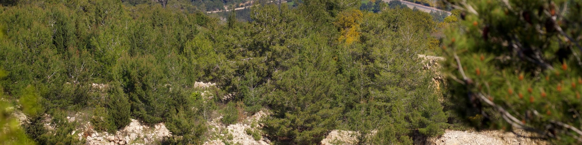 Mount Carmel featuring a coastal town, general coastal views and landscape views
