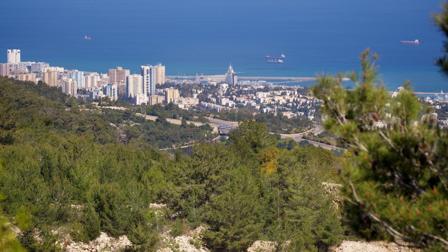 Mount Carmel featuring a coastal town, general coastal views and landscape views