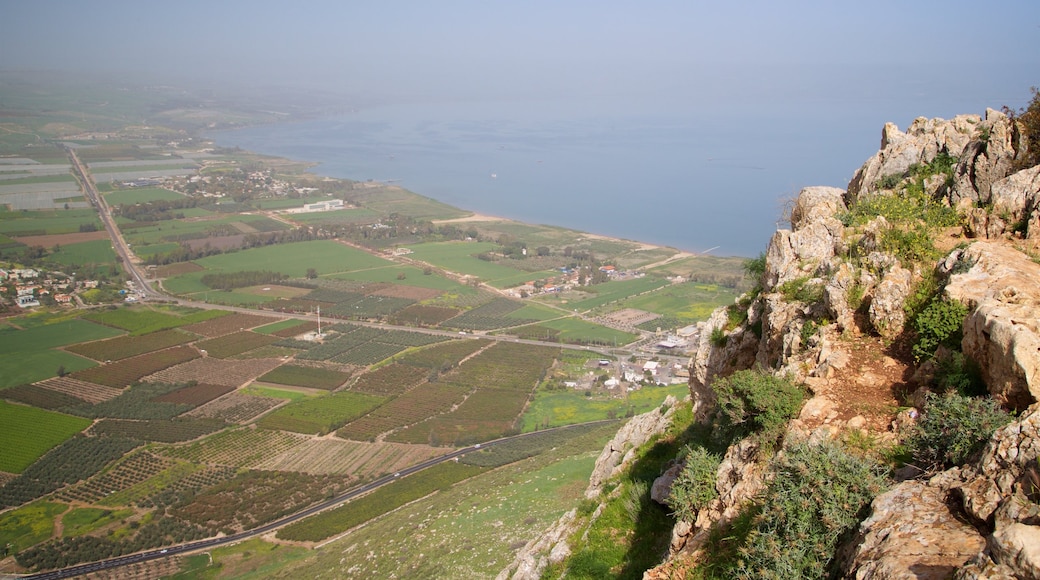Monte Arbel