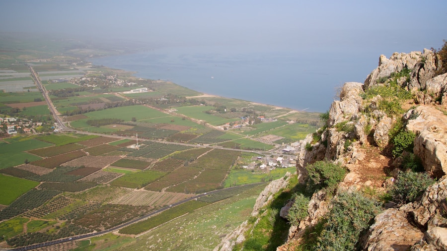 Monte Arbel