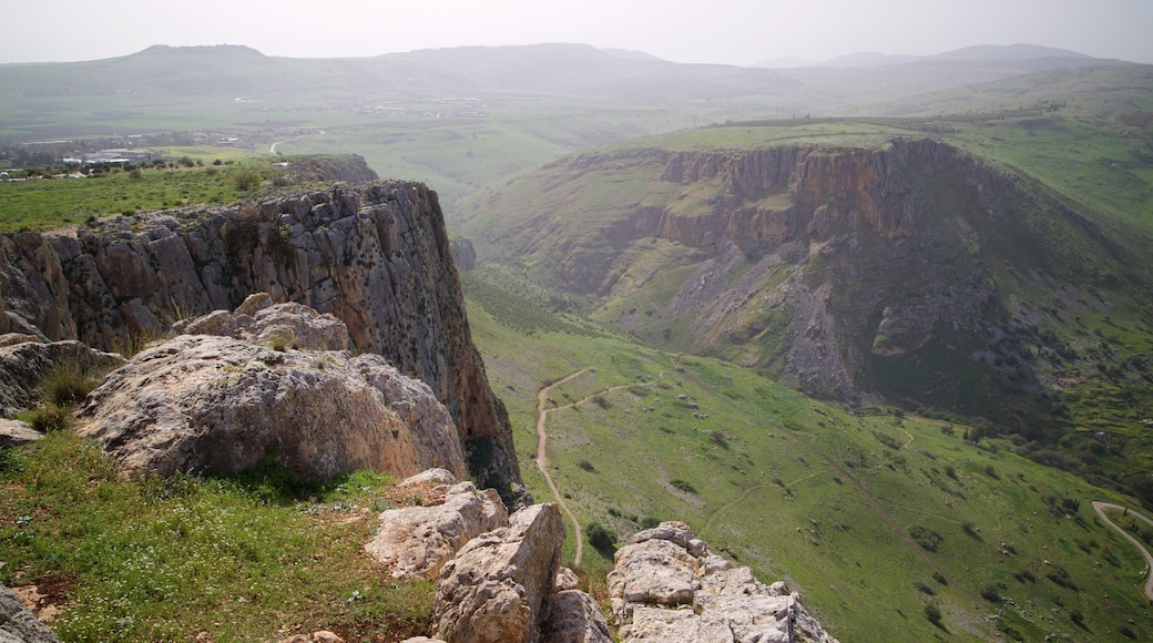 Monte Arbel