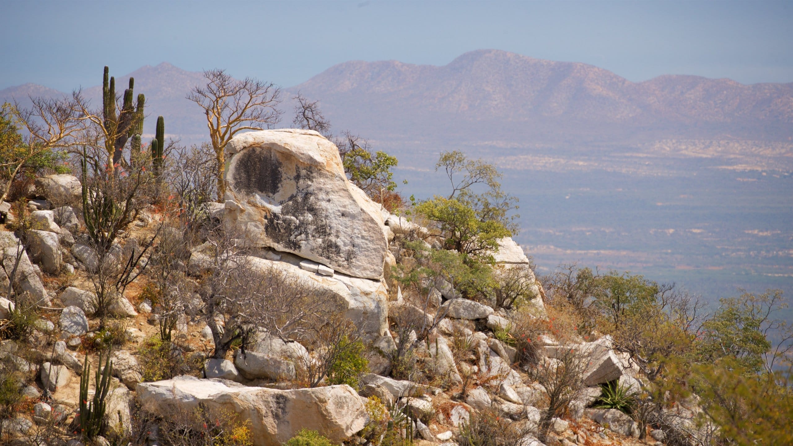 Baja California Sur, MX Vacation Rentals house rentals & more Vrbo