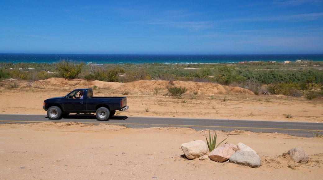 La Ribera showing general coastal views and desert views