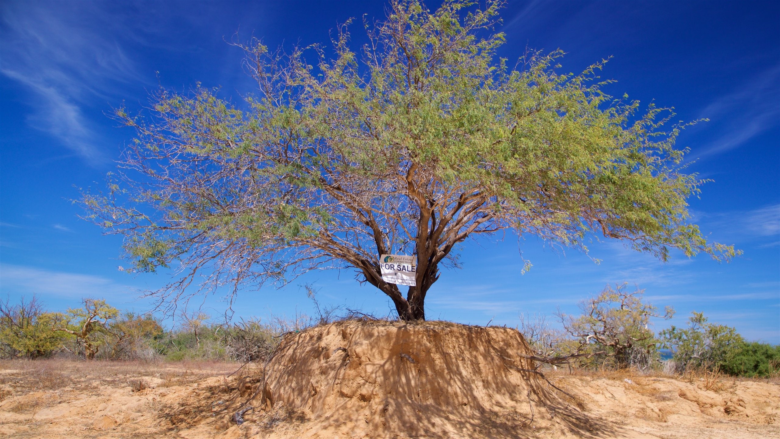 La Ribera, MX Vacation Rentals house rentals & more Vrbo