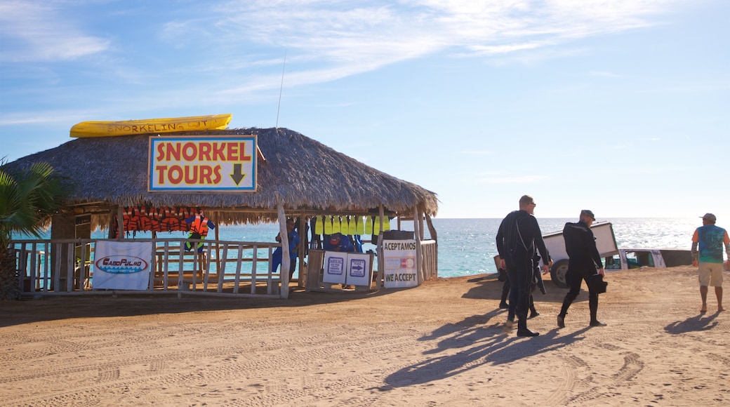 Cabo Pulmo featuring general coastal views, a sandy beach and signage