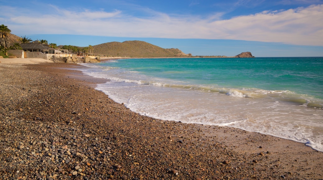 Cabo Pulmo showing a beach and general coastal views