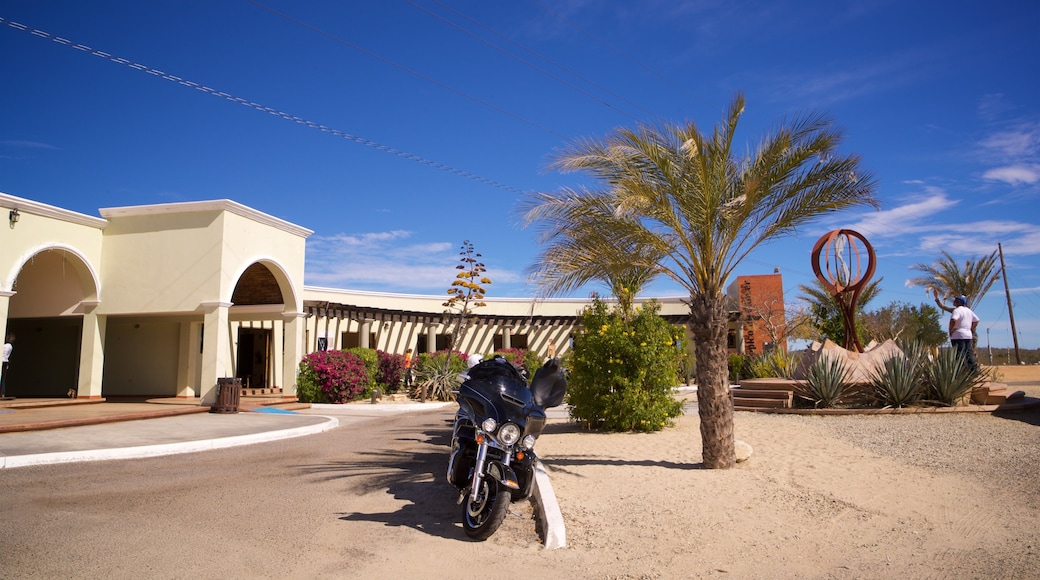 Tropic of Cancer Monument which includes a sandy beach