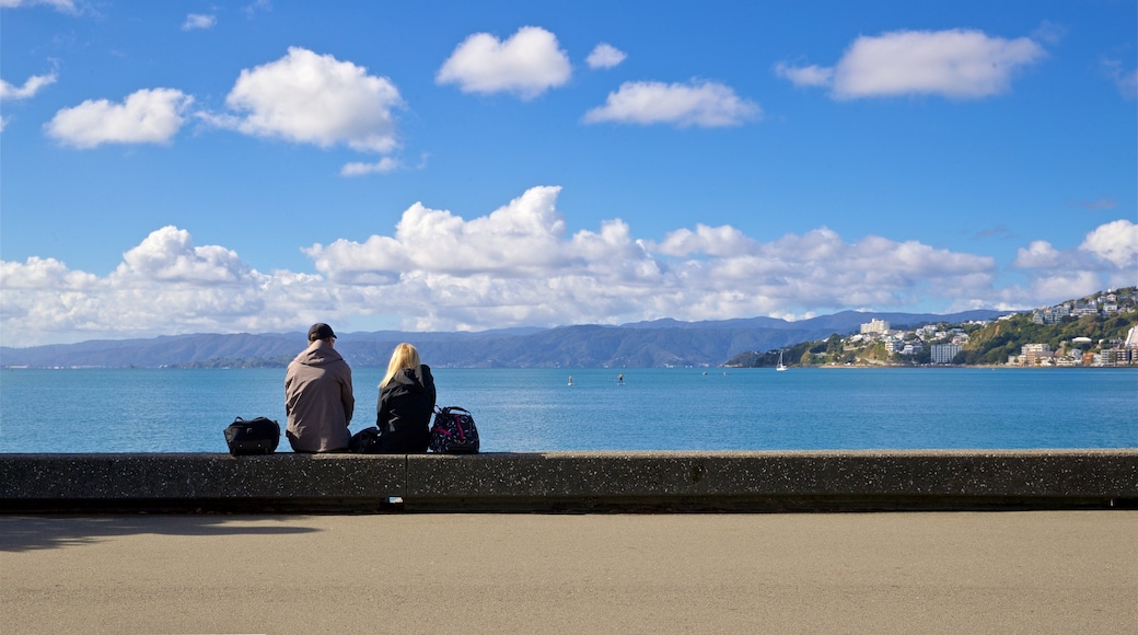 Frank Kitts Park featuring general coastal views as well as a couple