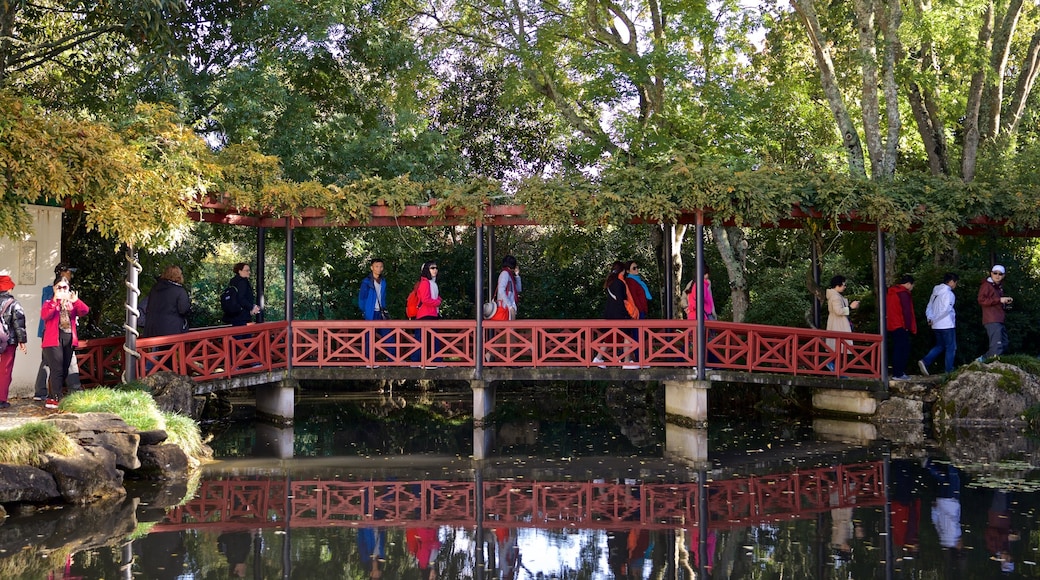 Hamilton Gardens featuring a pond and a bridge as well as a small group of people