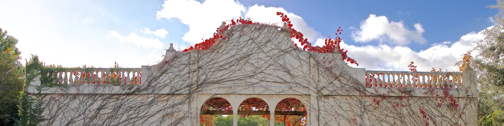Hamilton Gardens which includes heritage elements and wildflowers