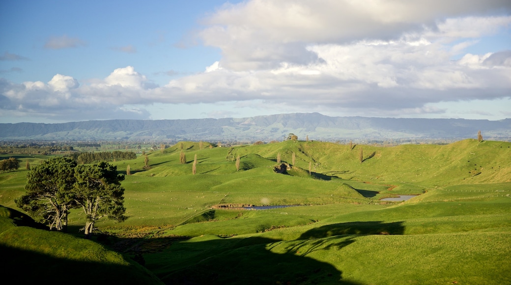 Hobbiton Movie Set featuring tranquil scenes and landscape views