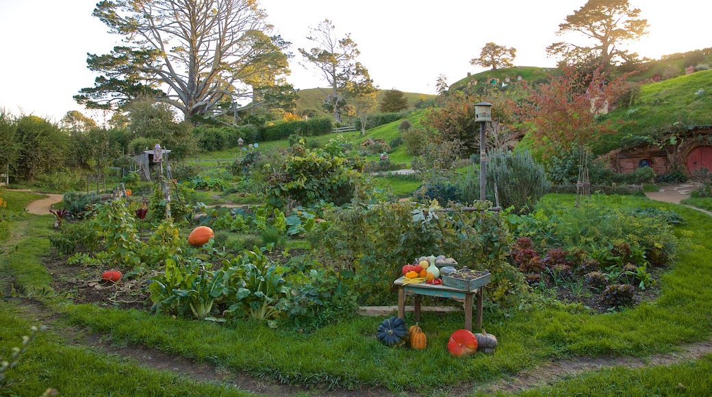 Hobbiton Movie Set which includes a park