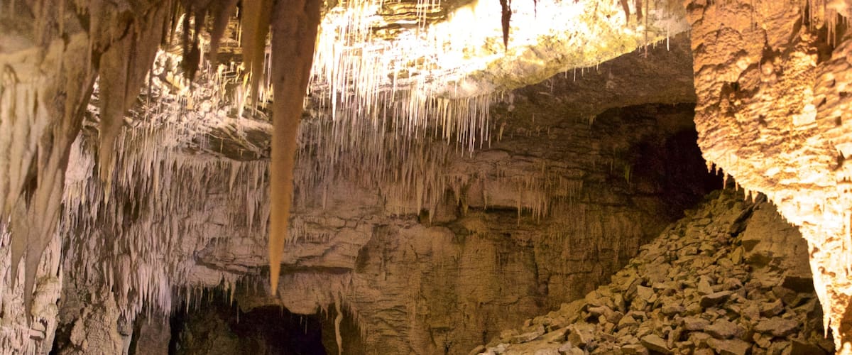 Waitomo Caves which includes caves