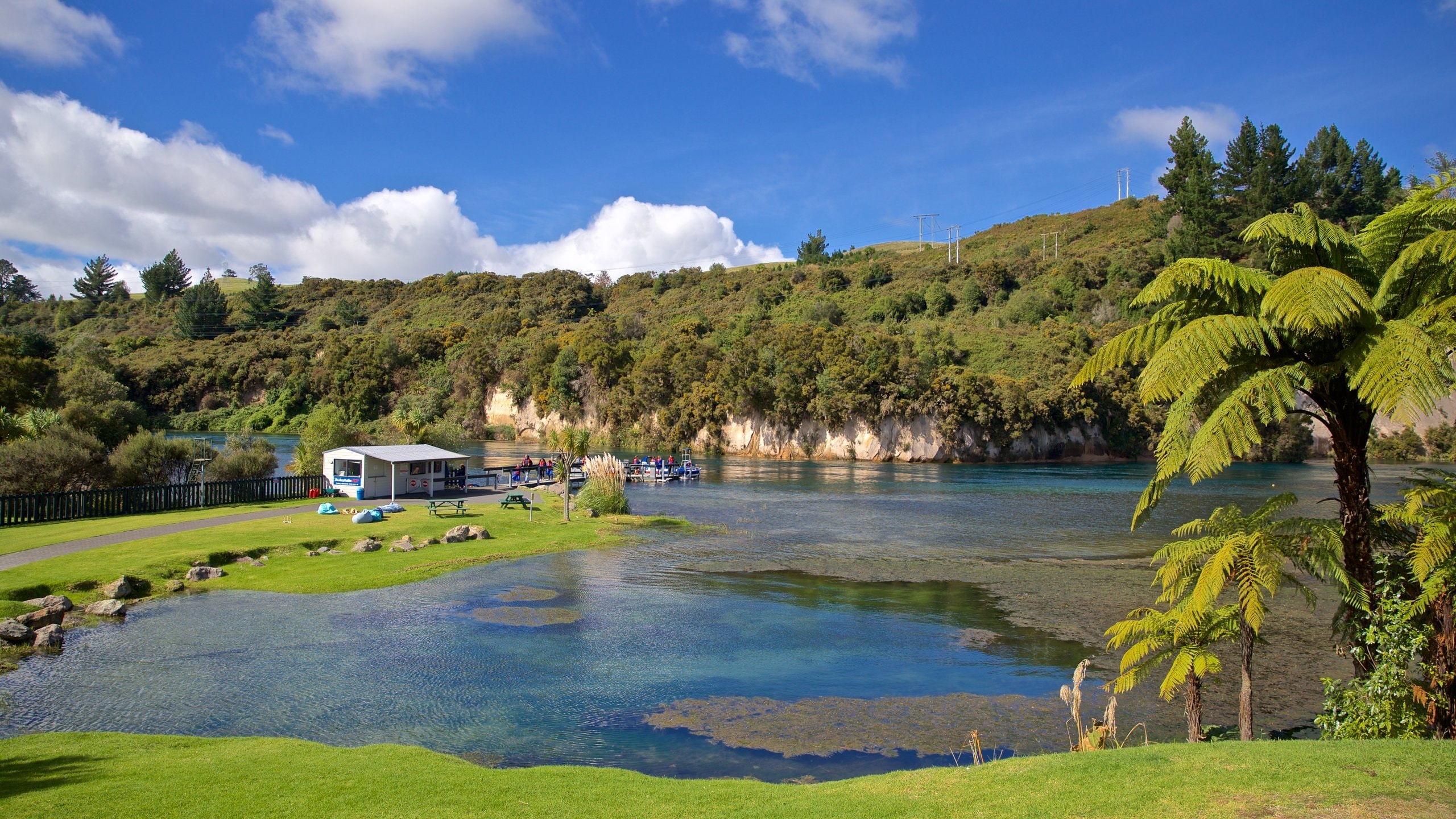 Visit New Zealand: Best of New Zealand Tourism | Expedia Travel Guide