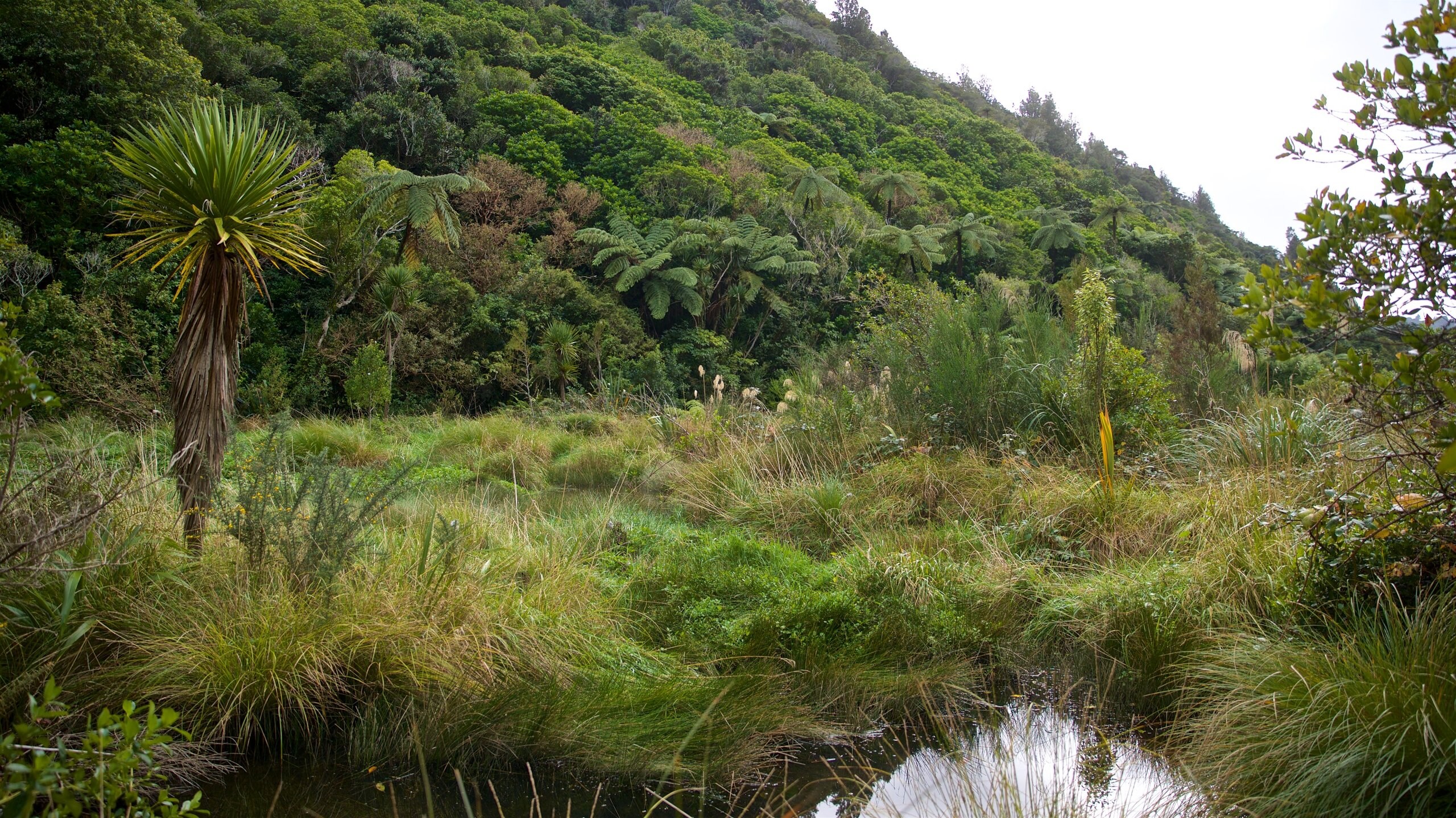 Zealandia, NZ holiday holiday houses & more Stayz