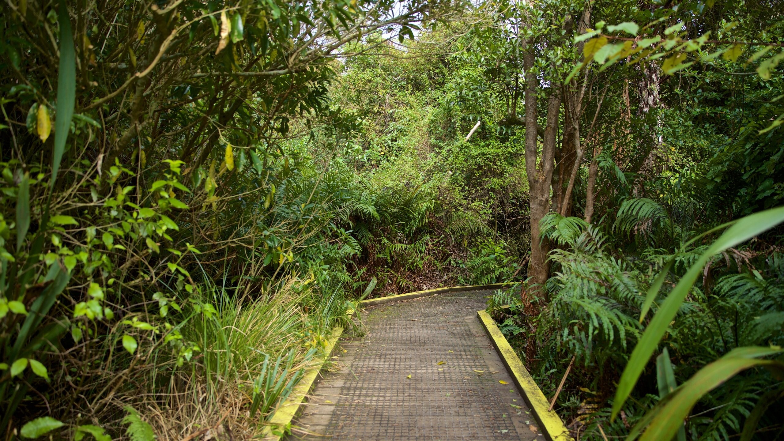 Greater Wellington, NZ Vacation Rentals house rentals & more Vrbo