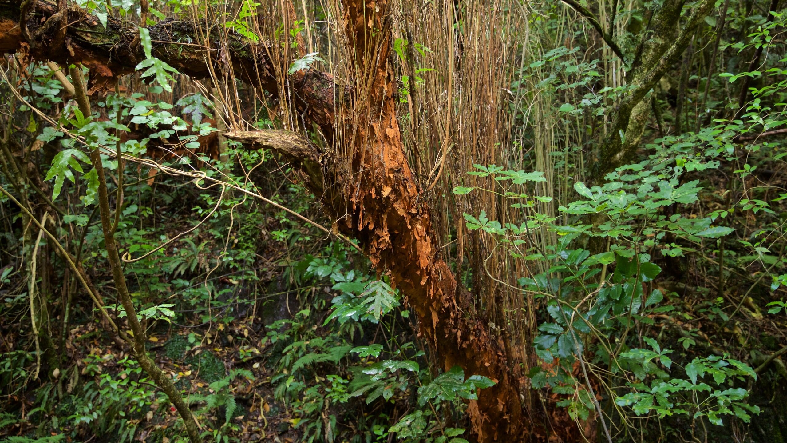 Wellington Region, NZ Vacation Rentals house rentals & more Vrbo