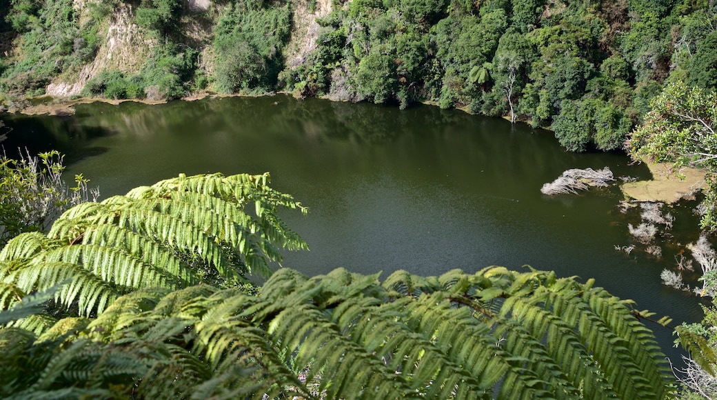 Waimangu Volcanic Valley which includes a lake or waterhole