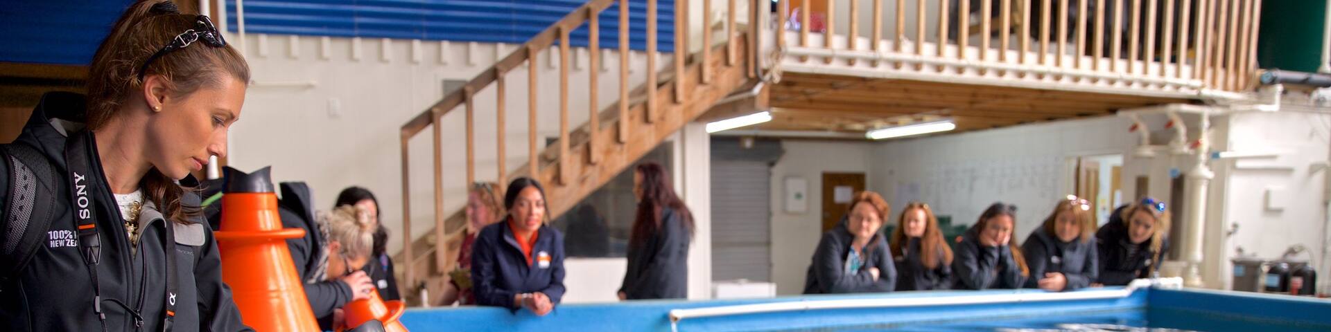 Prawn Farm featuring interior views and marine life as well as a small group of people