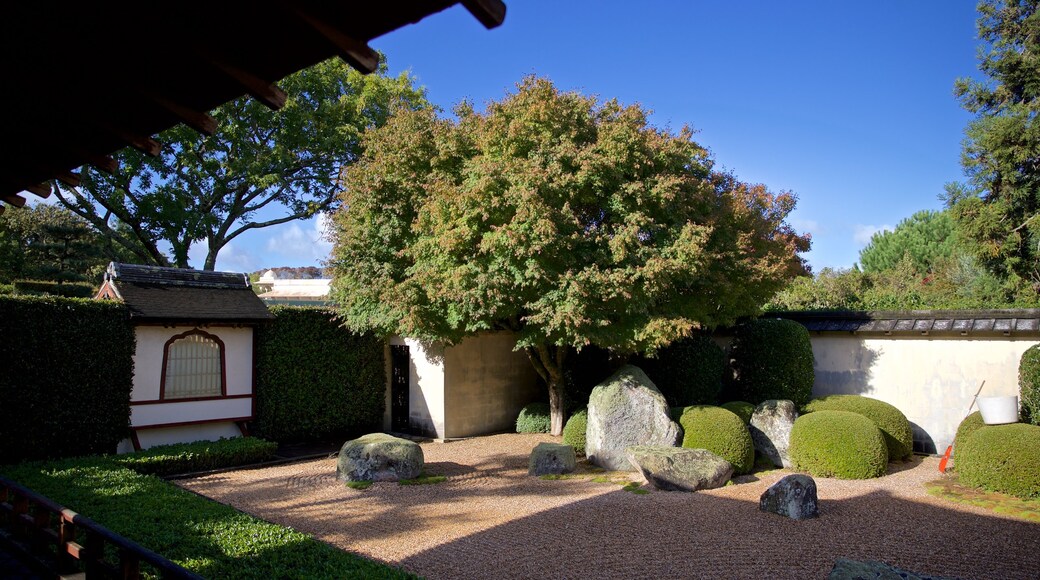 Hamilton Gardens showing a park