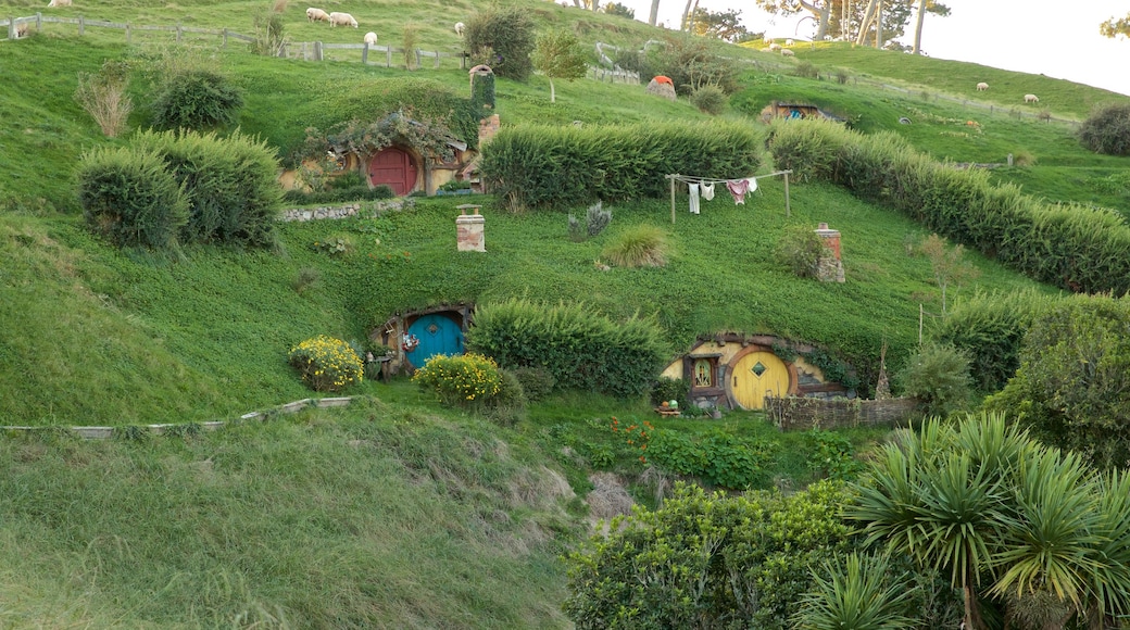 Plateau de cinéma de Hobbiton