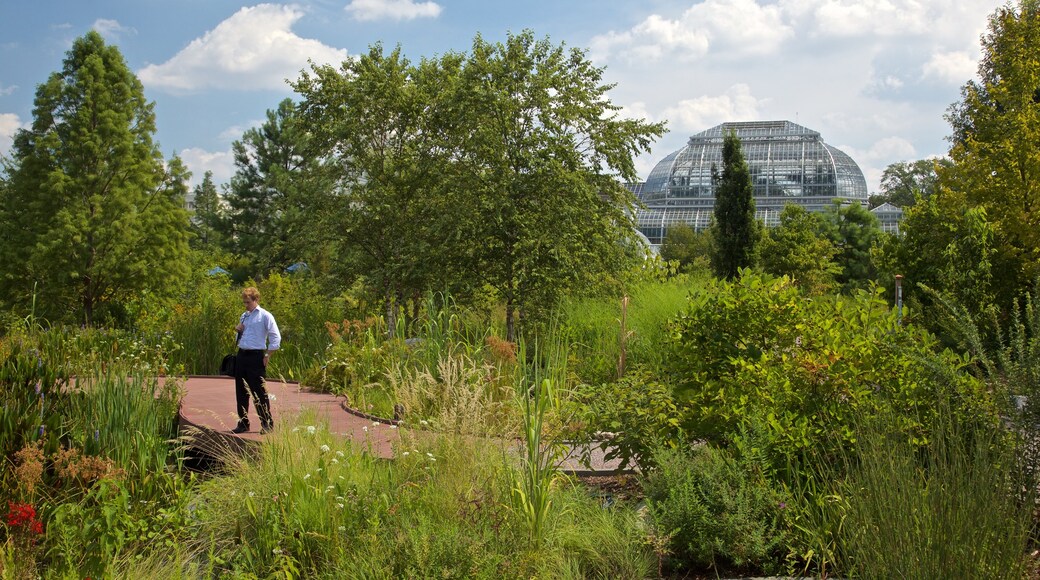 Botanische tuin van de Verenigde Staten