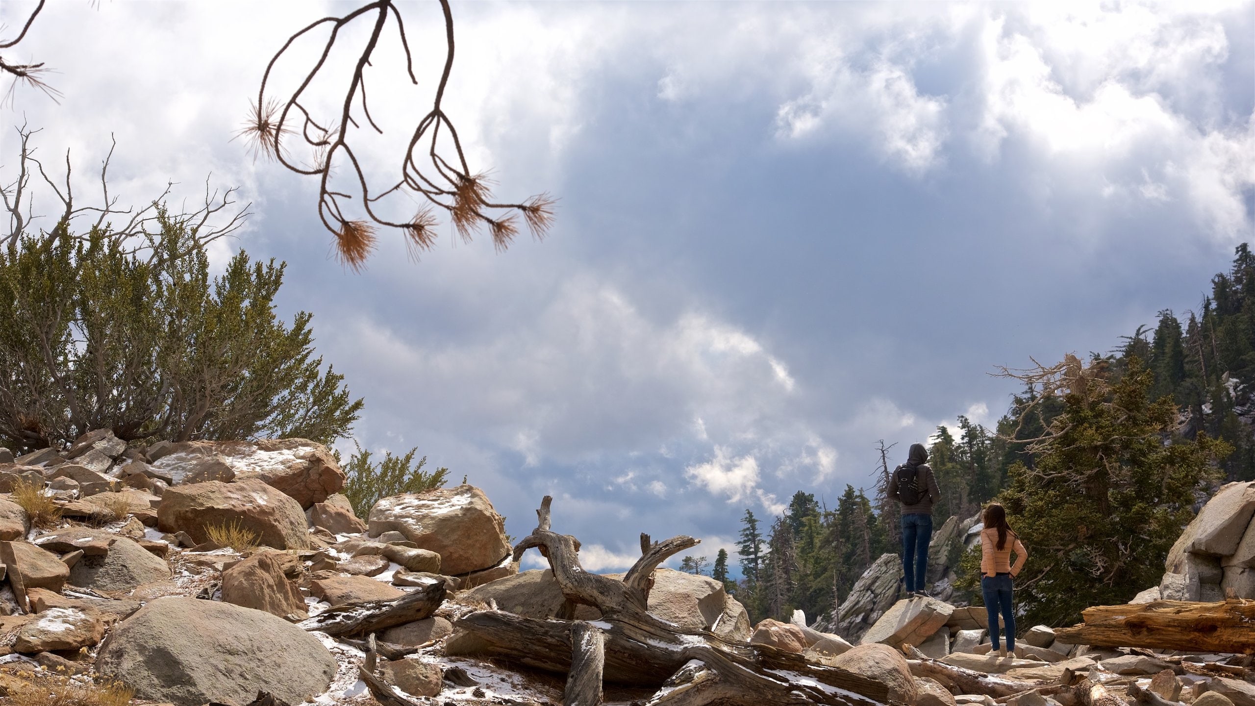 Mount San Jacinto State Park showing tranquil scenes as well as a couple