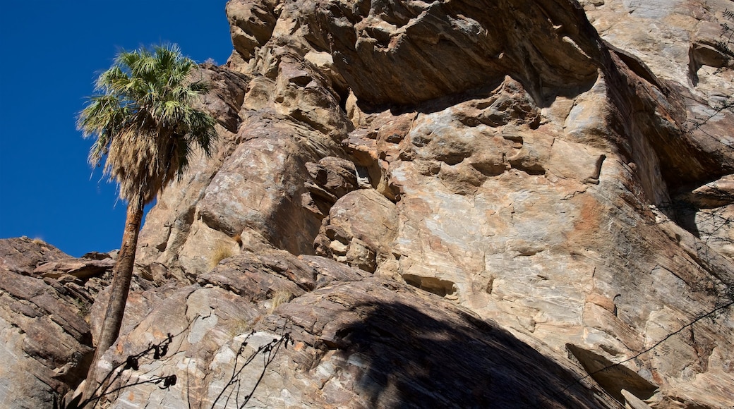 Indian Canyon