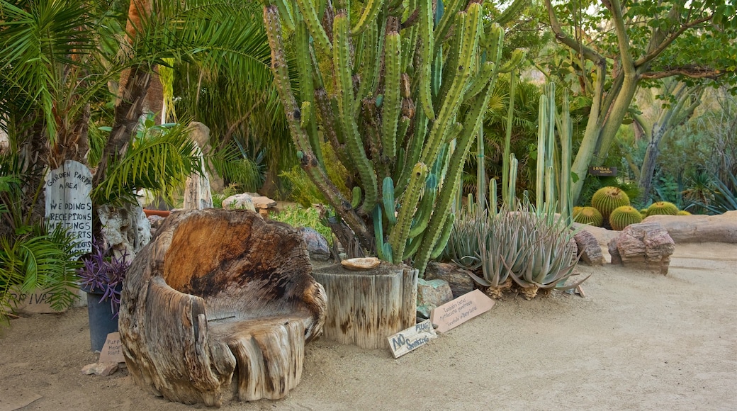 Taman Botani dan Kaktus Moorten