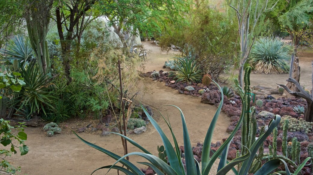 Taman Botani dan Kaktus Moorten