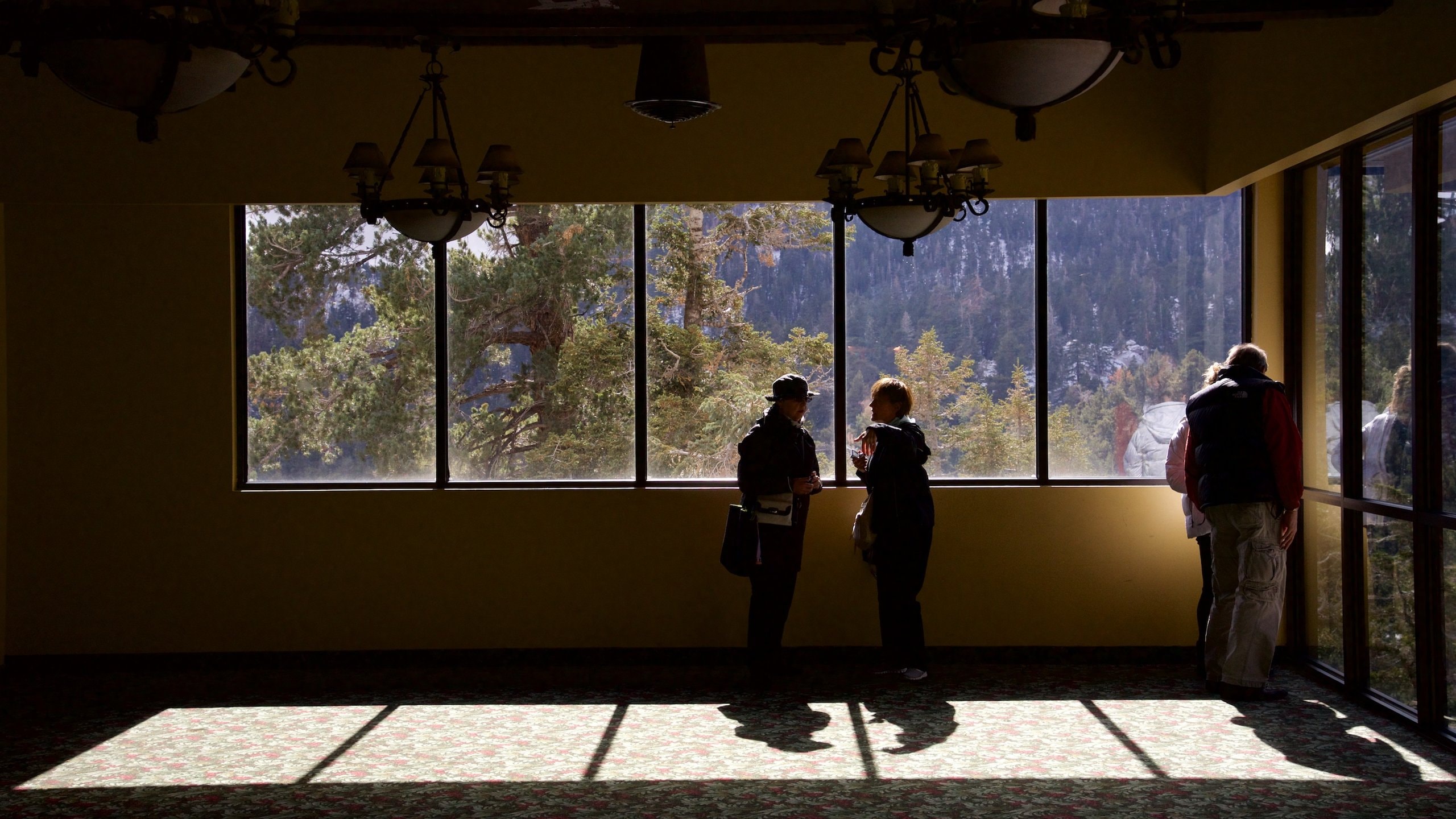 Palm Springs Aerial Tramway featuring interior views as well as a couple