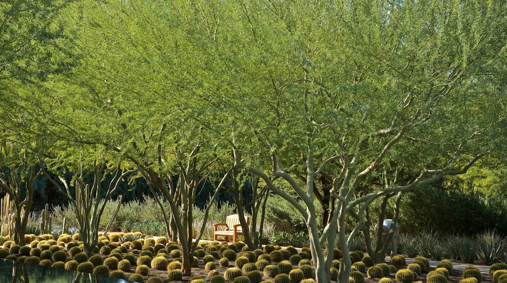 Sunnylands Center and Gardens