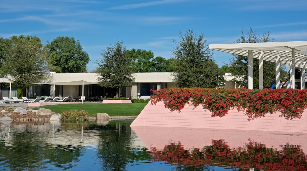 Sunnylands Center and Gardens which includes a lake or waterhole and wildflowers