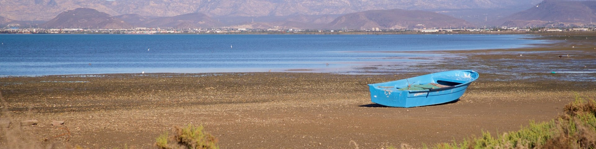 El Zacatal showing landscape views and a lake or waterhole