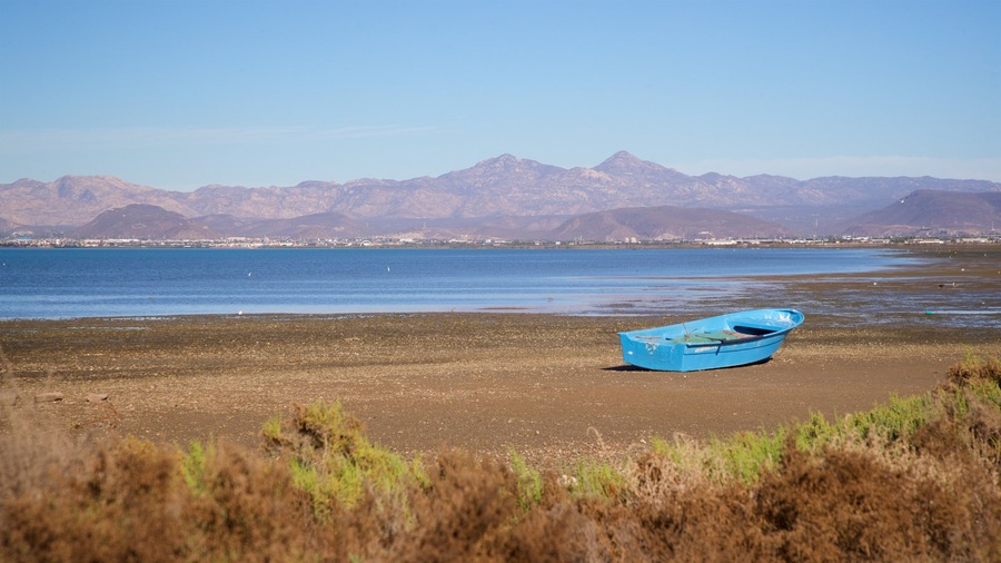 El Zacatal showing landscape views and a lake or waterhole