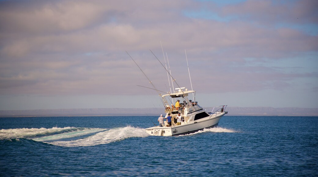 Isla Espiritu Santo featuring boating as well as a small group of people